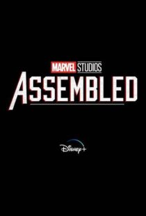 دانلود سریال Marvel Studios: Assembled100150-670243268