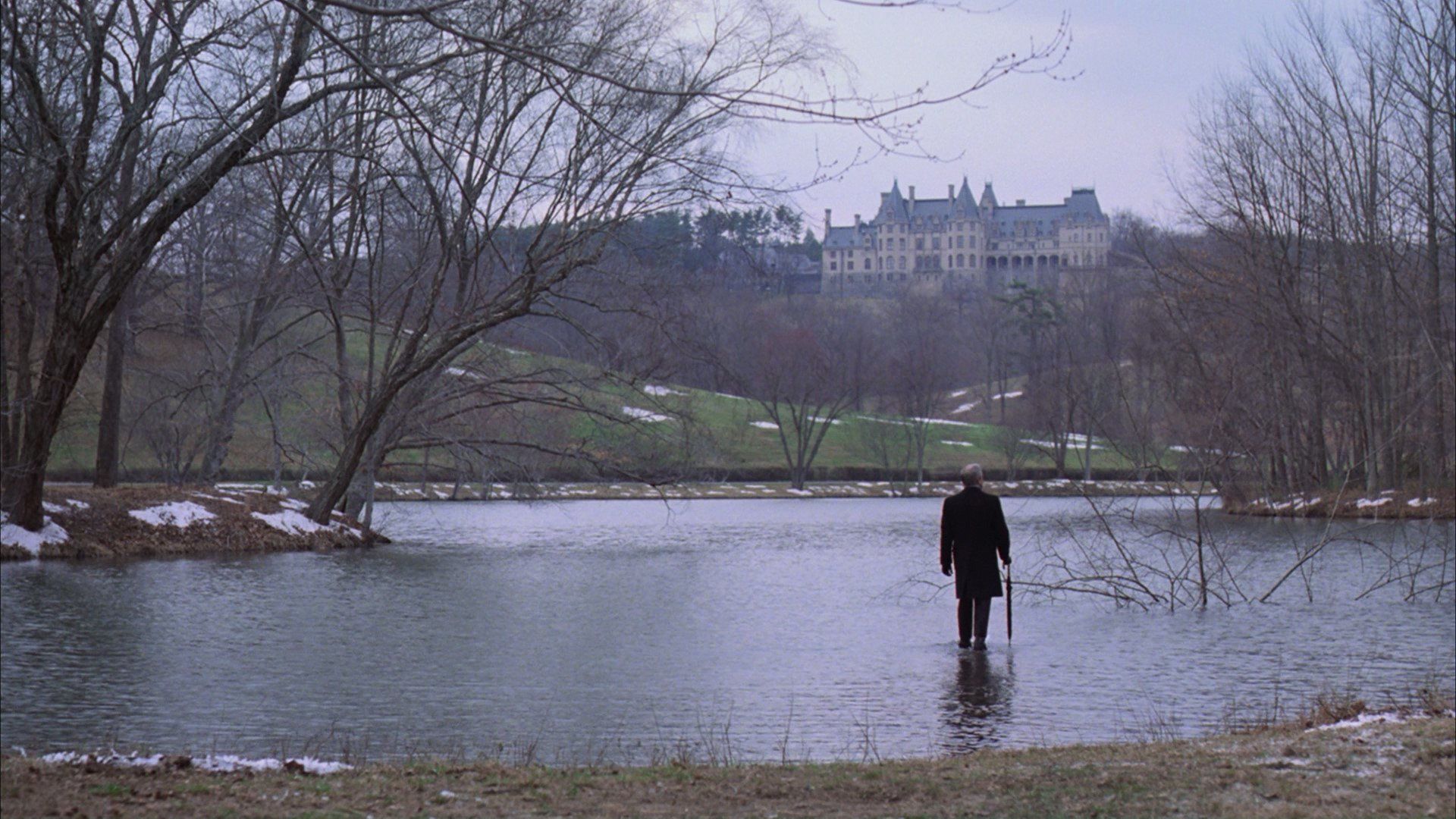 دانلود فیلم Being There 1979