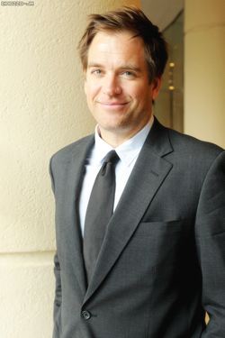 Michael Weatherly