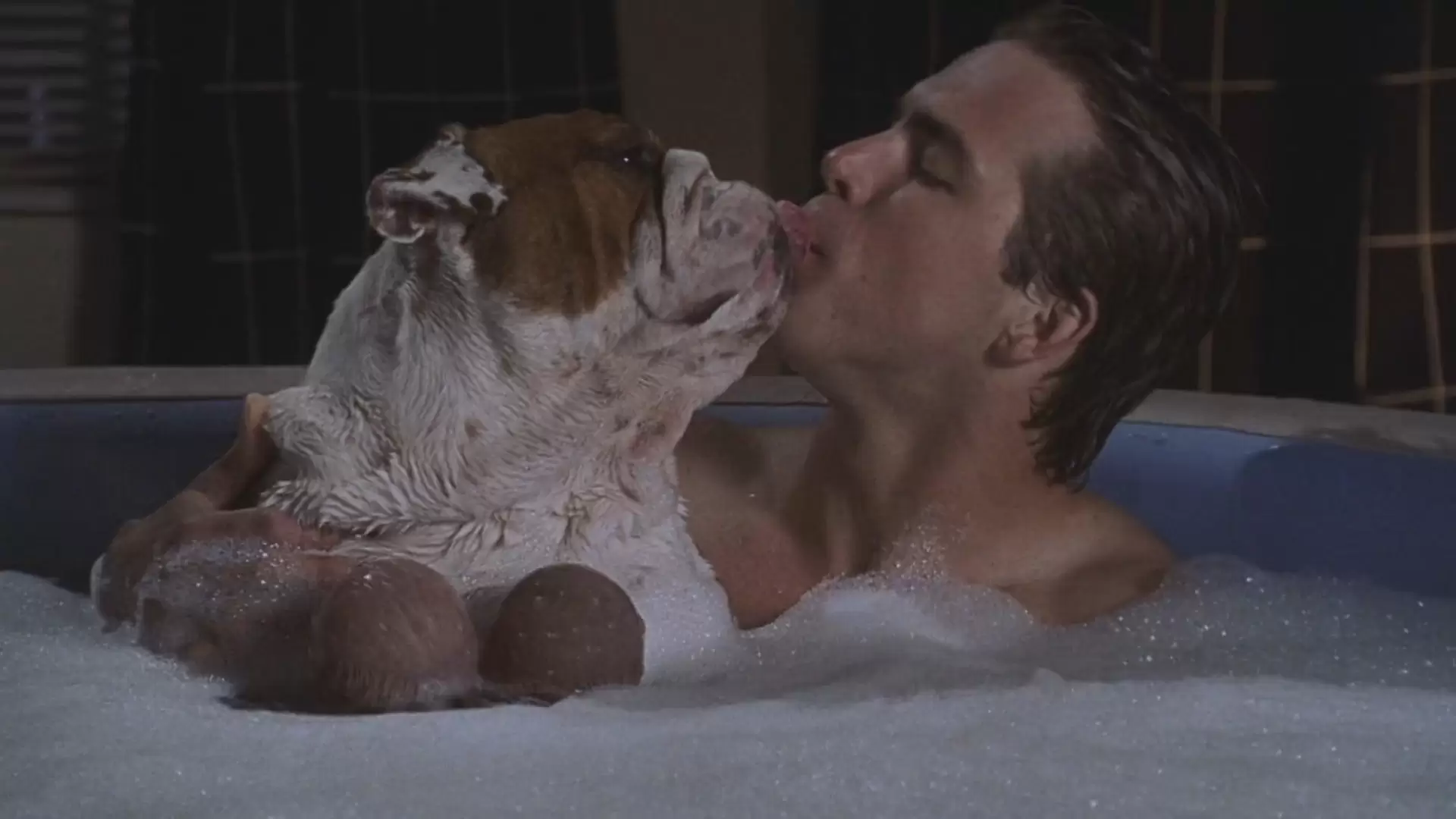 دانلود فیلم National Lampoon’s Van Wilder 2002