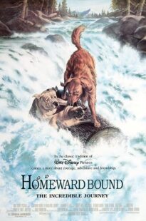 دانلود فیلم Homeward Bound: The Incredible Journey 1993371118-886351484