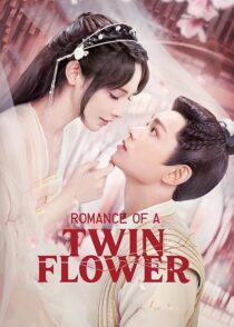 دانلود سریال Romance of a Twin Flower379211-1407745208