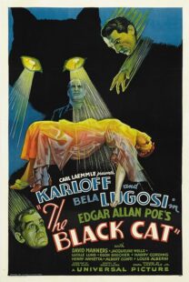 دانلود فیلم The Black Cat 1934378235-1940932248