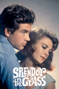 دانلود فیلم Splendor in the Grass 1961382554-376656338