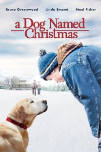 دانلود فیلم A Dog Named Christmas 2009389298-1377152787