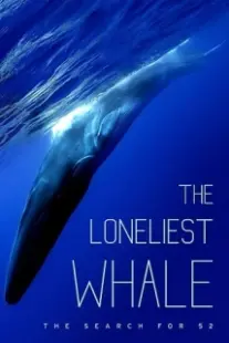 دانلود فیلم The Loneliest Whale: The Search for 52 2021403098-1941363788