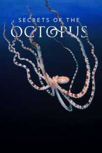 دانلود سریال Secrets of the Octopus401286-372020972