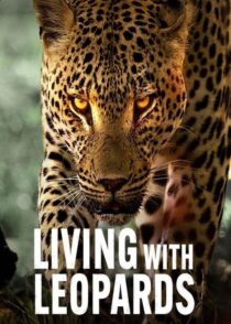 دانلود مستند Living with Leopards 2024400477-1389265379