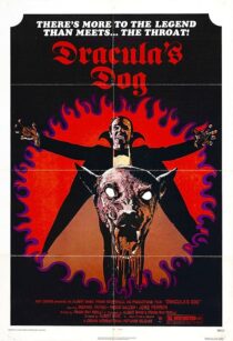 دانلود فیلم Dracula’s Dog 1977407625-2100411387