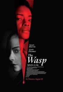 دانلود فیلم The Wasp 2024411027-318768583