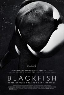 دانلود فیلم Blackfish 2013412328-861815870