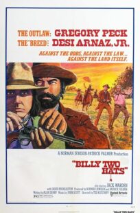 دانلود فیلم Billy Two Hats 1974411057-1560861196