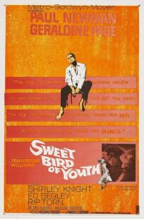 دانلود فیلم Sweet Bird of Youth 1962415738-2003778941