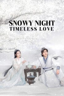 دانلود سریال Snowy Night Timeless Love417168-1044507790