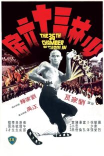 دانلود فیلم The 36th Chamber of Shaolin 1978418237-1884121562