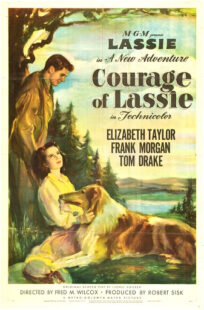 دانلود فیلم Courage of Lassie 1946417427-1570899073