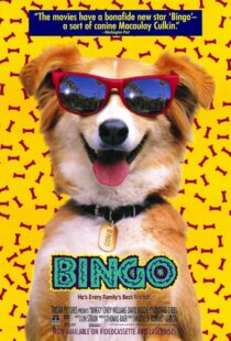 دانلود فیلم Bingo 1991417459-1144516287