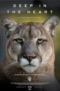 دانلود مستند Deep in the Heart: A Texas Wildlife Story 2022421545-1723667608