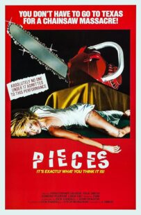 دانلود فیلم Pieces 1982422164-1686841988