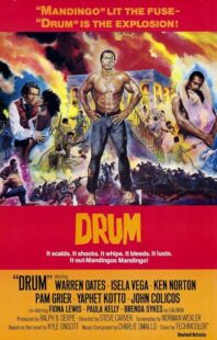 دانلود فیلم Drum 1976423508-780384928