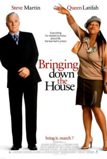 دانلود فیلم Bringing Down the House 2003424024-1653997645