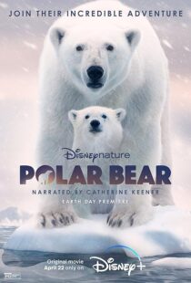 دانلود مستند Polar Bear 2022422974-361628475